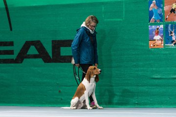 Training 106 - Carinas Autogrammstunde